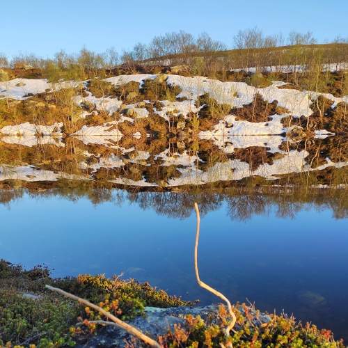 Photo #5887597