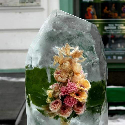 Photo #5887862