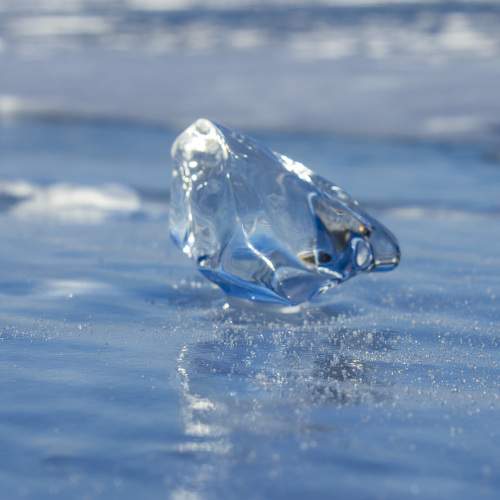 Photo #5887892