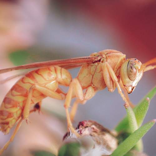 Photo #5888063