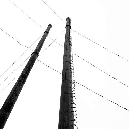 Photo #5888172