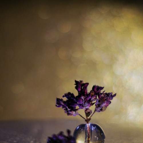Photo #5888279