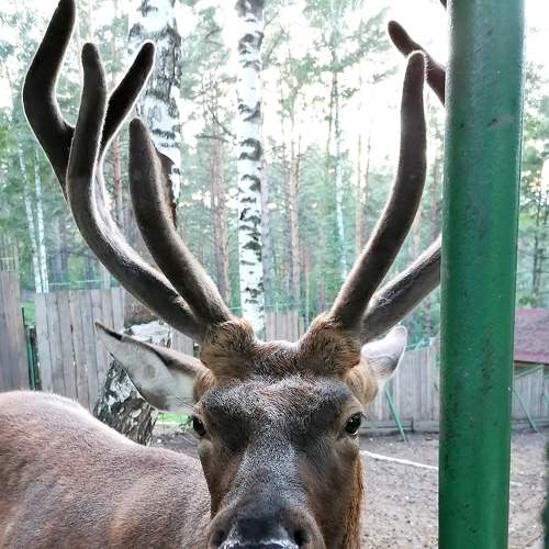 Photo #5888322
