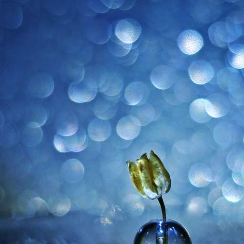 Photo #5888722