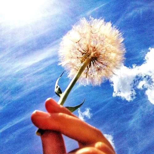 Photo #5888817