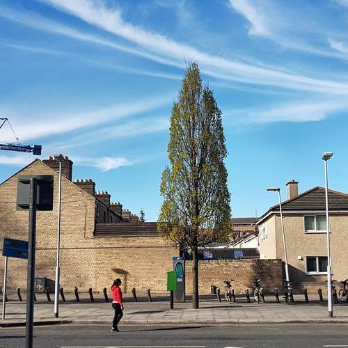 Photo #5889045
