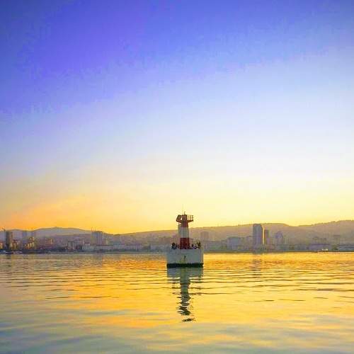 Photo #5889089
