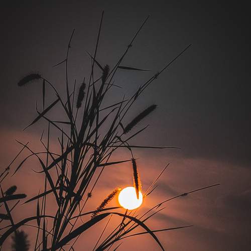 Photo #5889228