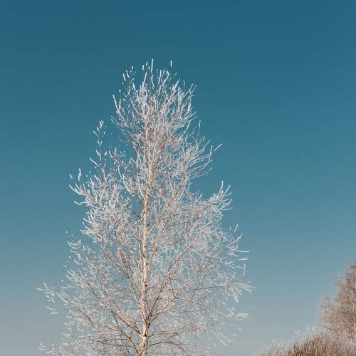 Photo #5889239