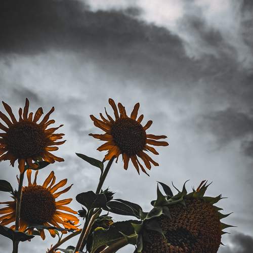 Photo #5889305