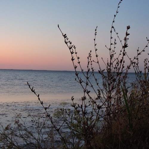 Photo #5889558