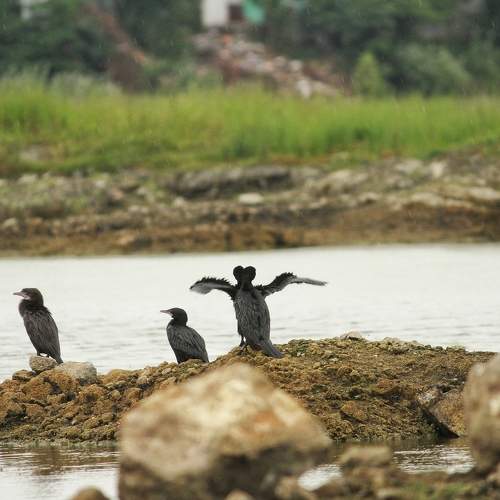 Photo #5889767