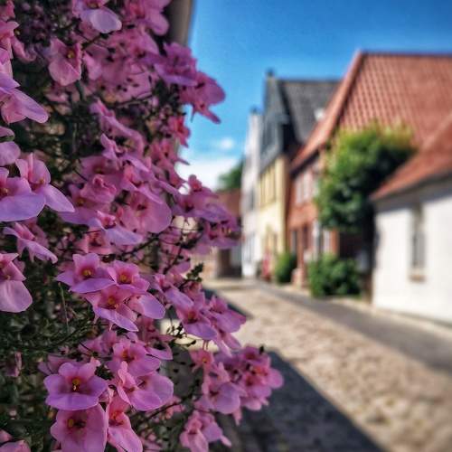 Photo #5889831