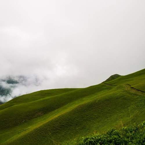 Photo #5889885