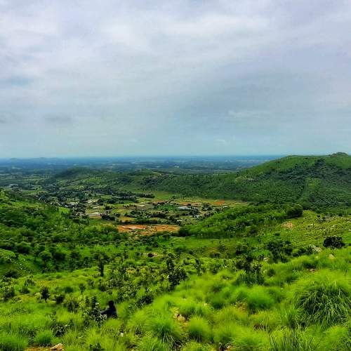 Photo #5890140