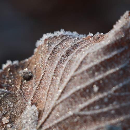 Photo #5890181