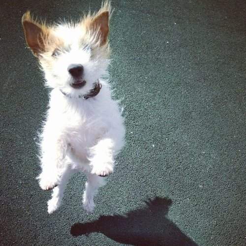 Photo #5890213