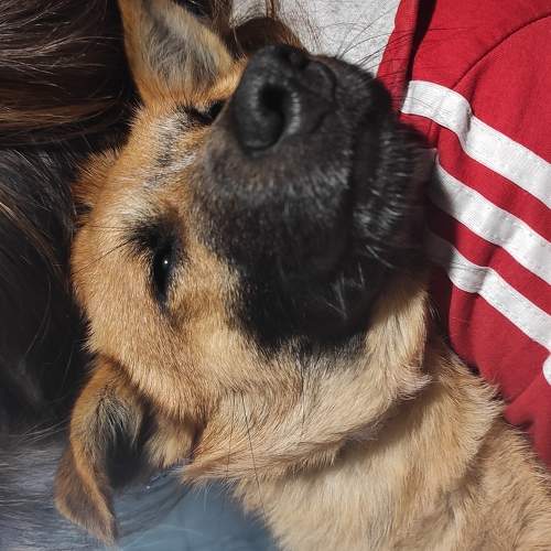 Photo #5890268
