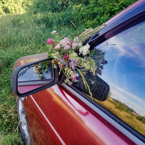 Photo #5890444