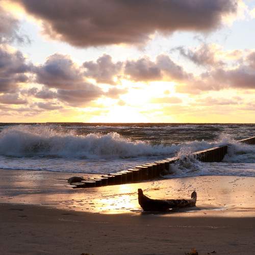 Photo #5890605