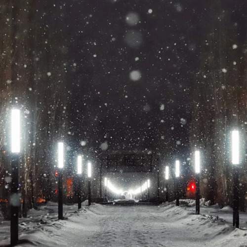 Photo #5890654