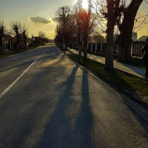 Photo #5890674