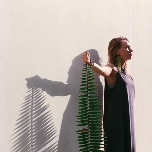 Photo #5890790