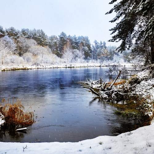 Photo #5890889