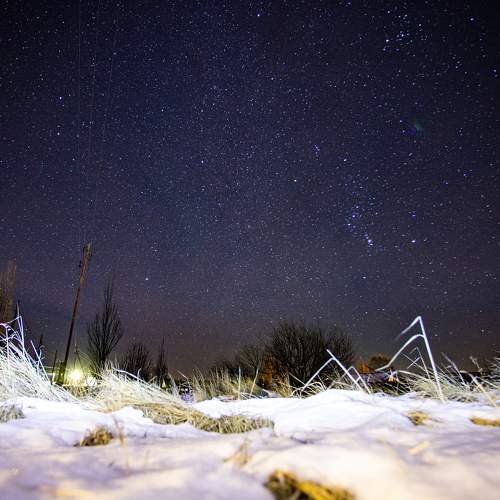 Photo #5890938