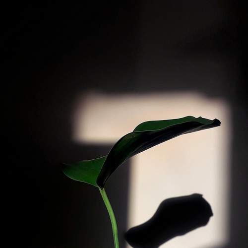 Photo #5891062