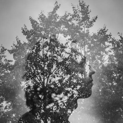 Фотография #5891104