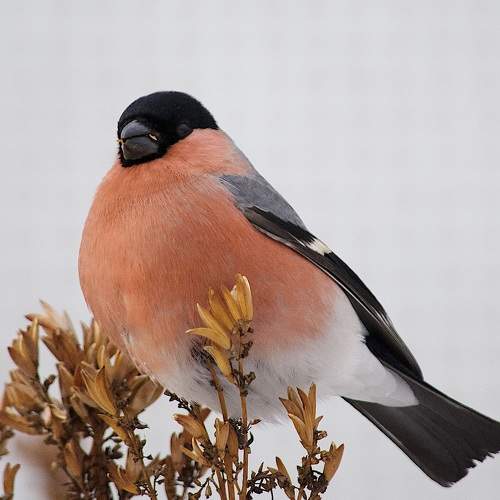 Photo #5891107