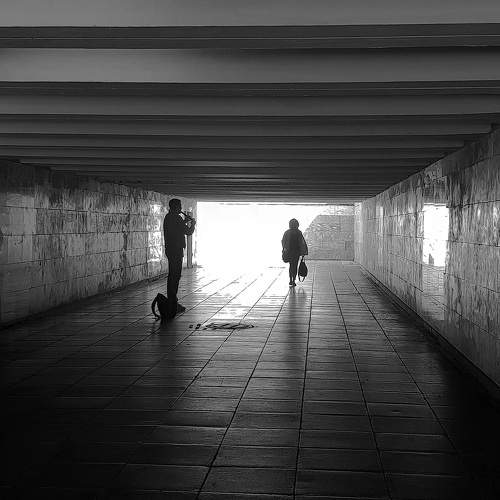 Photo #5891111