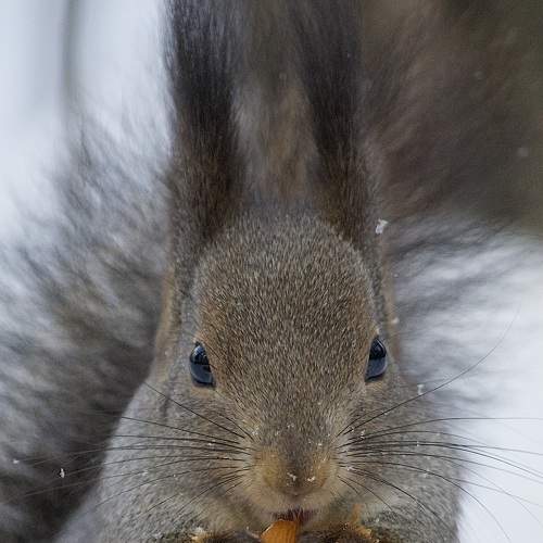 Photo #5891143