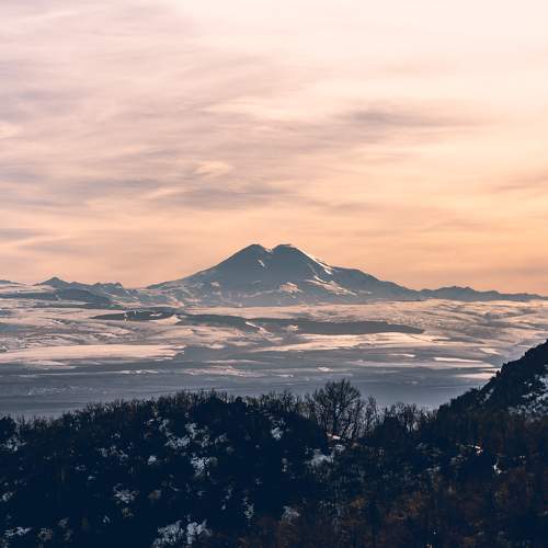 Photo #5891164