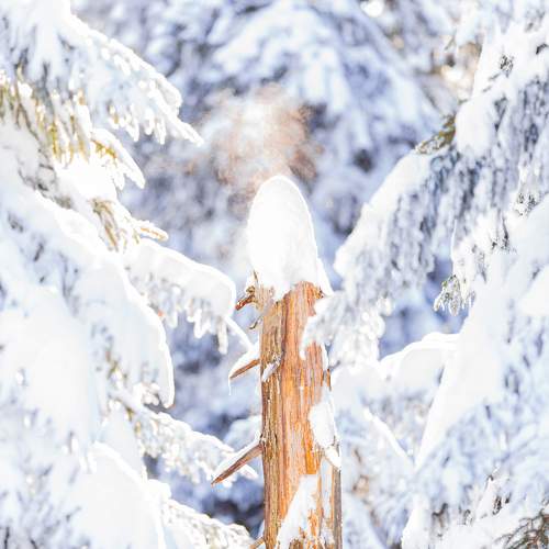 Photo #5891668