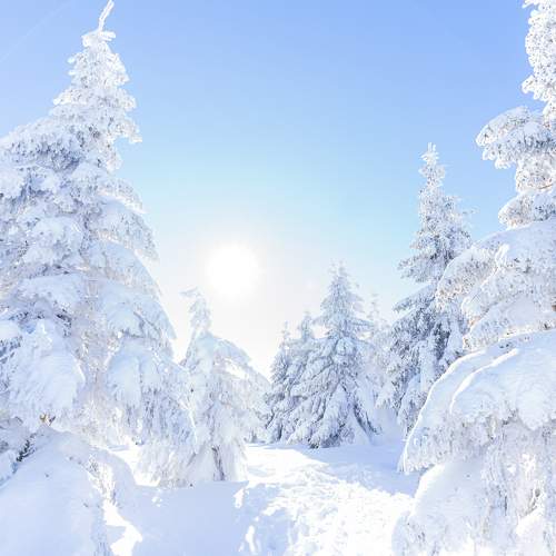 Photo #5891673