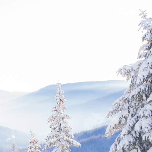 Photo #5891679