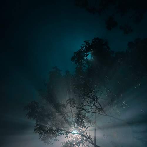 The light