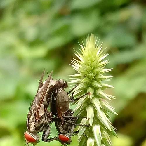 Photo #5892213