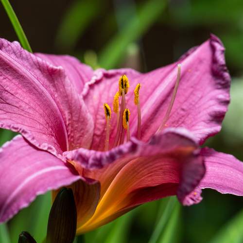Photo #5892256