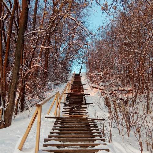 Photo #5892666