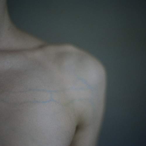 Photo #5892712