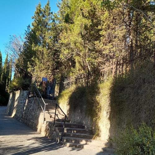 Photo #5892740