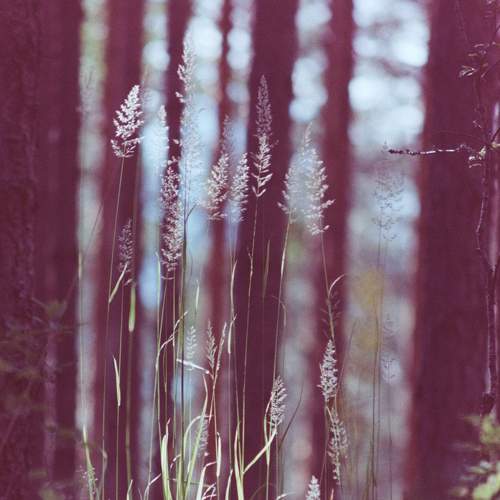Photo #5892782
