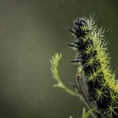 Photo #5892823