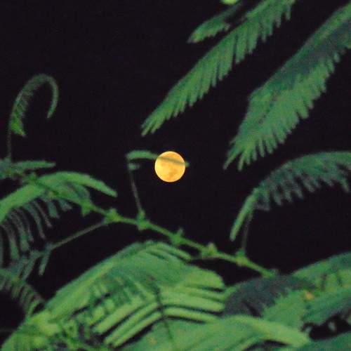 Photo #5893065