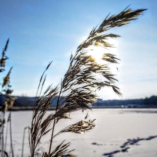 Photo #5893247
