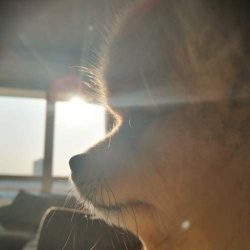 Photo #5893367