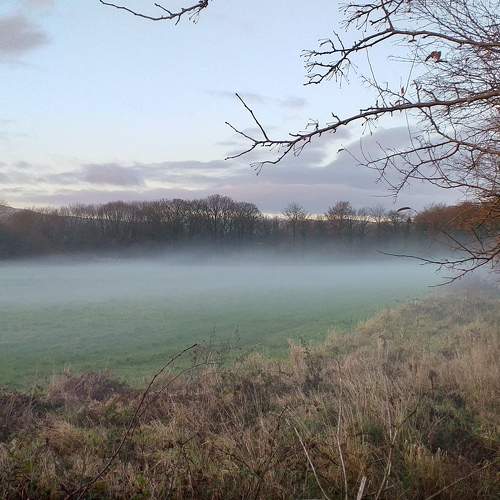 Morning Mist